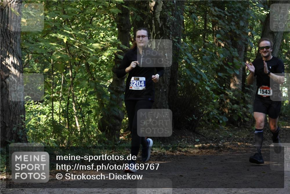 28.09.2025 - 33. Volkslauf durch das schöne Alstertal Strokosch-Dieckow http://msf.ph/oto/8969767 28.09.2025 11:35:24 Laufen 3204, 1543 meine-sportfotos.de