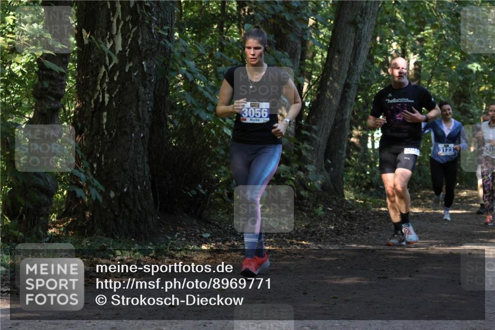 28.09.2025 - 33. Volkslauf durch das schöne Alstertal Strokosch-Dieckow http://msf.ph/oto/8969771 28.09.2025 11:35:33 Laufen 3056, 3123, 1313 meine-sportfotos.de