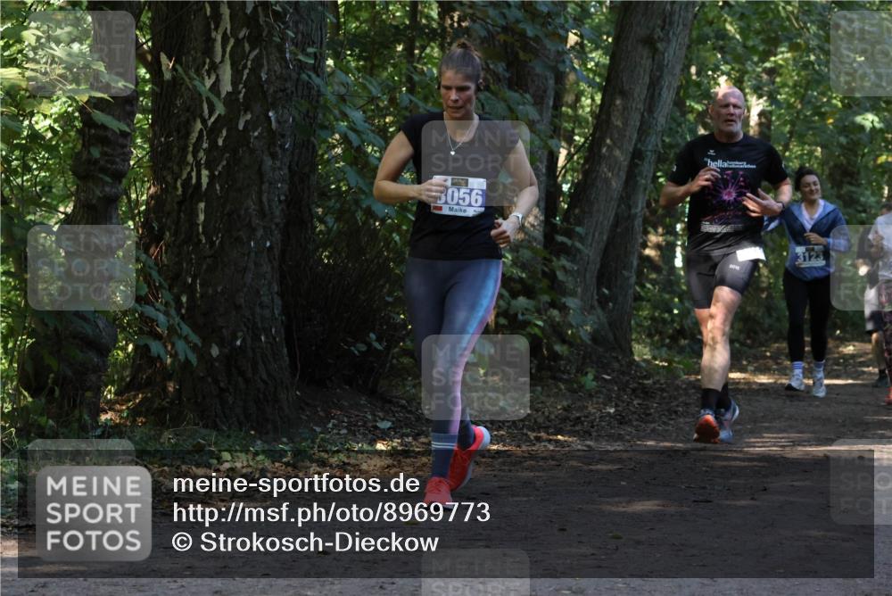 28.09.2025 - 33. Volkslauf durch das schöne Alstertal Strokosch-Dieckow http://msf.ph/oto/8969773 28.09.2025 11:35:33 Laufen 3056, 3123 meine-sportfotos.de