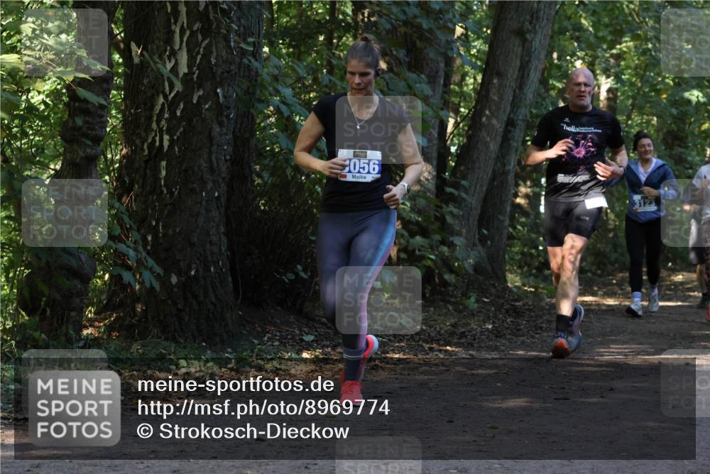 28.09.2025 - 33. Volkslauf durch das schöne Alstertal Strokosch-Dieckow http://msf.ph/oto/8969774 28.09.2025 11:35:33 Laufen 056 meine-sportfotos.de