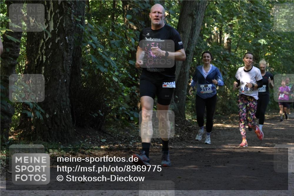 28.09.2025 - 33. Volkslauf durch das schöne Alstertal Strokosch-Dieckow http://msf.ph/oto/8969775 28.09.2025 11:35:35 Laufen 95, 3123, 3130, 5958 meine-sportfotos.de