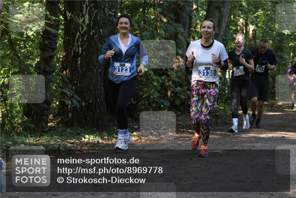 28.09.2025 - 33. Volkslauf durch das schöne Alstertal Strokosch-Dieckow http://msf.ph/oto/8969778 28.09.2025 11:35:38 Laufen 3123, 3130, 3958 meine-sportfotos.de