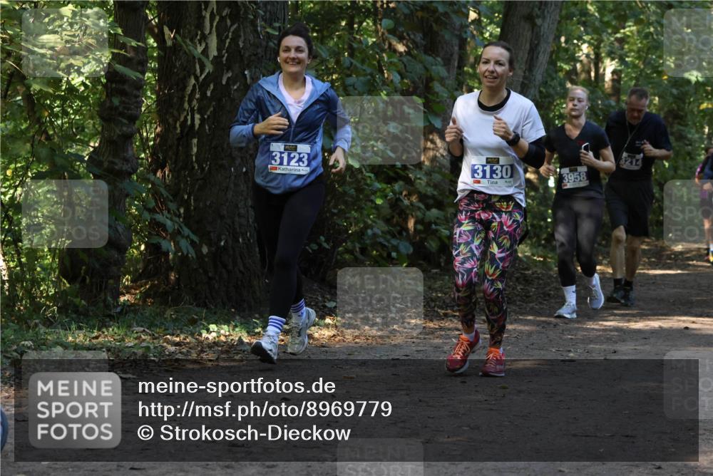 28.09.2025 - 33. Volkslauf durch das schöne Alstertal Strokosch-Dieckow http://msf.ph/oto/8969779 28.09.2025 11:35:38 Laufen 3123, 3130, 3958, 3214 meine-sportfotos.de