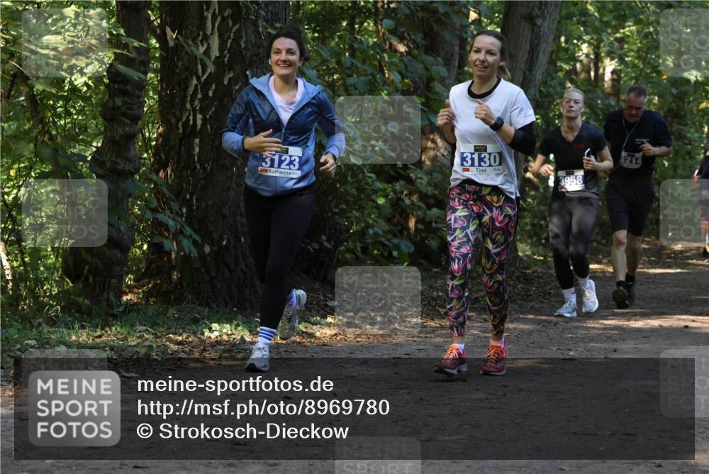 28.09.2025 - 33. Volkslauf durch das schöne Alstertal Strokosch-Dieckow http://msf.ph/oto/8969780 28.09.2025 11:35:38 Laufen 3123, 3130, 3958, 3214 meine-sportfotos.de