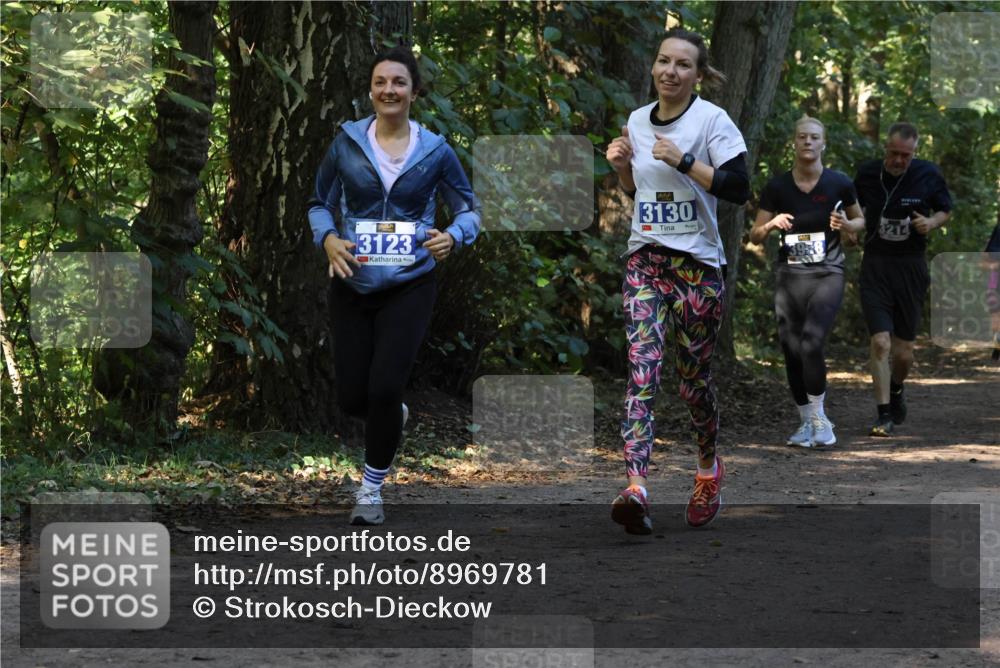 28.09.2025 - 33. Volkslauf durch das schöne Alstertal Strokosch-Dieckow http://msf.ph/oto/8969781 28.09.2025 11:35:38 Laufen 3123, 95, 3130, 3958, 3214 meine-sportfotos.de