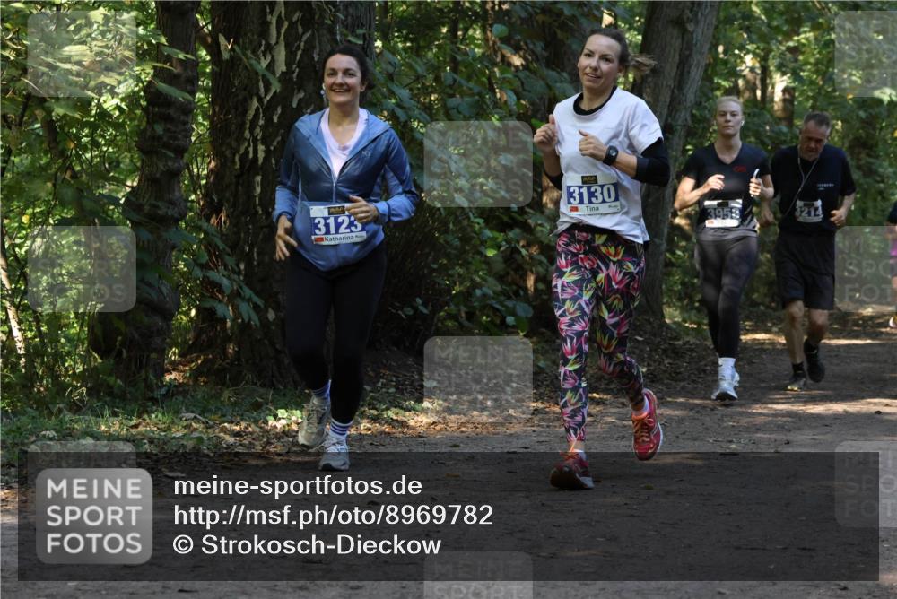 28.09.2025 - 33. Volkslauf durch das schöne Alstertal Strokosch-Dieckow http://msf.ph/oto/8969782 28.09.2025 11:35:38 Laufen 3125, 3130, 3959, 3214 meine-sportfotos.de