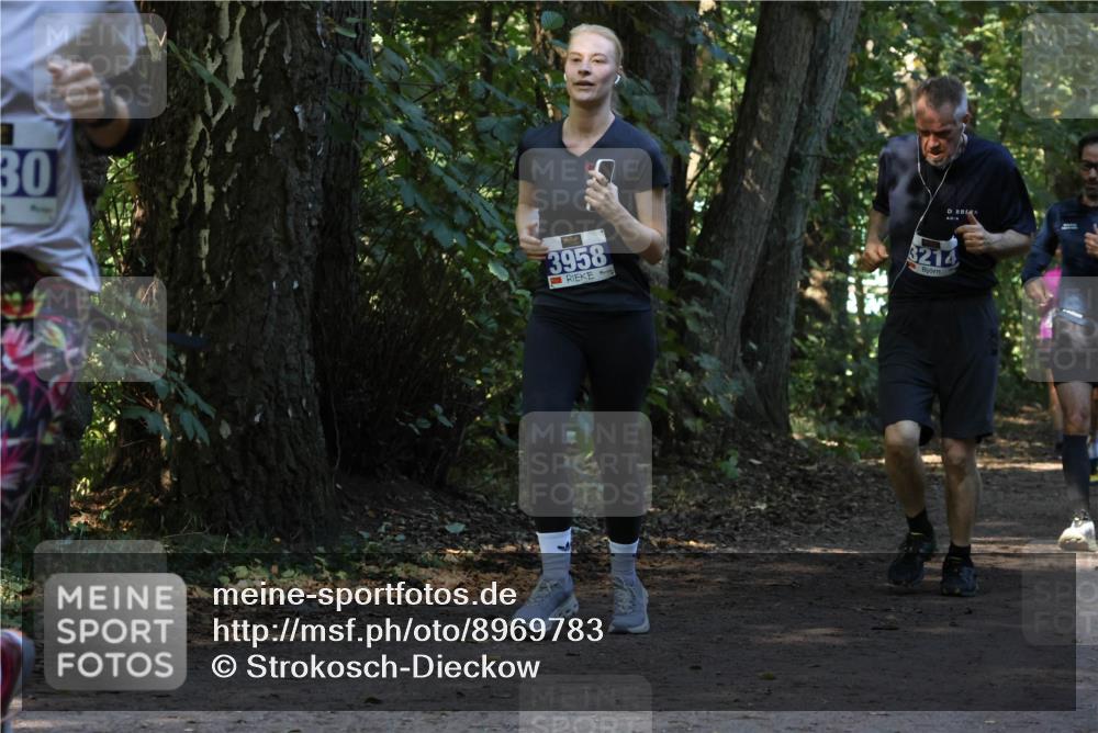 28.09.2025 - 33. Volkslauf durch das schöne Alstertal Strokosch-Dieckow http://msf.ph/oto/8969783 28.09.2025 11:35:40 Laufen 30, 97, 3958, 3214 meine-sportfotos.de