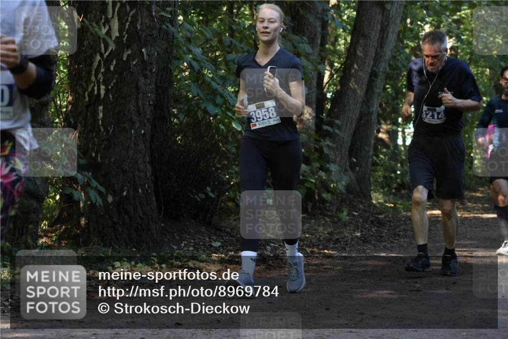 28.09.2025 - 33. Volkslauf durch das schöne Alstertal Strokosch-Dieckow http://msf.ph/oto/8969784 28.09.2025 11:35:40 Laufen 3958, 3214 meine-sportfotos.de