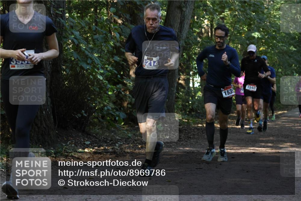 28.09.2025 - 33. Volkslauf durch das schöne Alstertal Strokosch-Dieckow http://msf.ph/oto/8969786 28.09.2025 11:35:41 Laufen 3, 355, 3214, 1535, 1540 meine-sportfotos.de