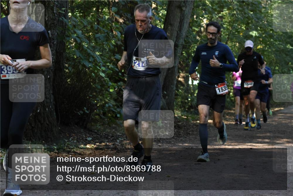 28.09.2025 - 33. Volkslauf durch das schöne Alstertal Strokosch-Dieckow http://msf.ph/oto/8969788 28.09.2025 11:35:41 Laufen 393, 3214, 1535, 1540 meine-sportfotos.de