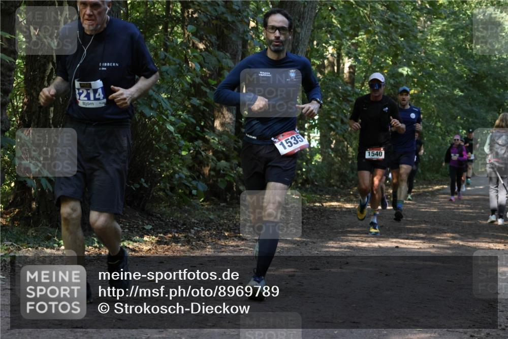 28.09.2025 - 33. Volkslauf durch das schöne Alstertal Strokosch-Dieckow http://msf.ph/oto/8969789 28.09.2025 11:35:42 Laufen 214, 1535, 1540 meine-sportfotos.de