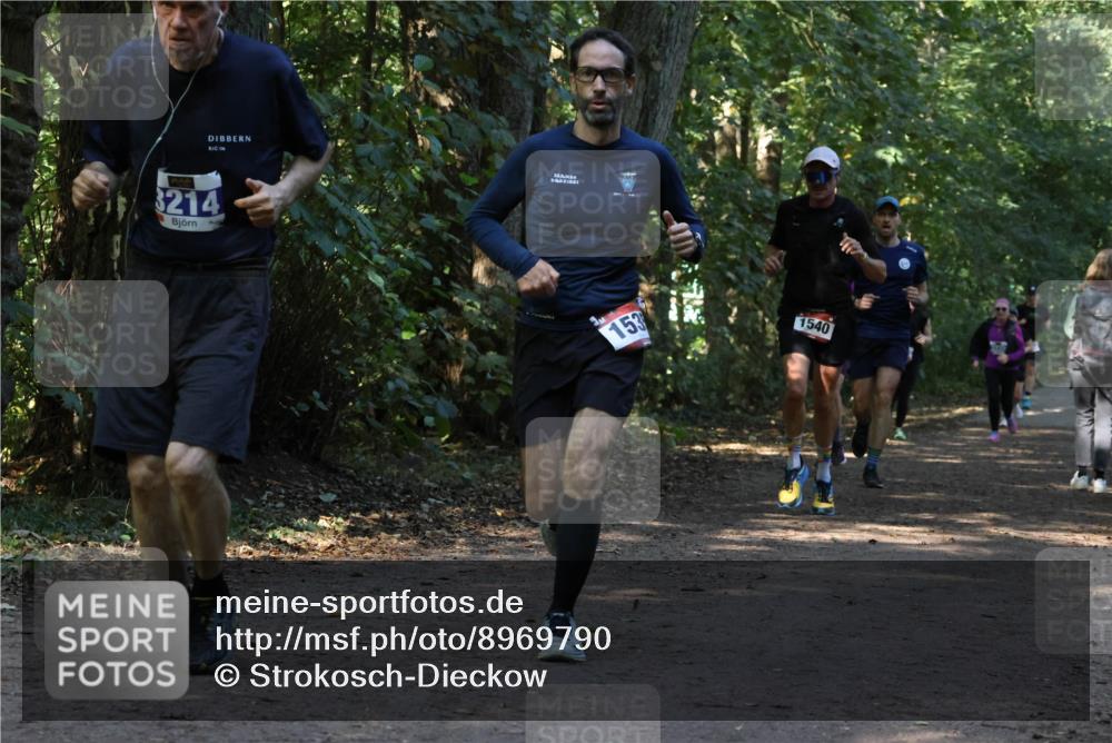 28.09.2025 - 33. Volkslauf durch das schöne Alstertal Strokosch-Dieckow http://msf.ph/oto/8969790 28.09.2025 11:35:42 Laufen 3214, 153, 1540 meine-sportfotos.de