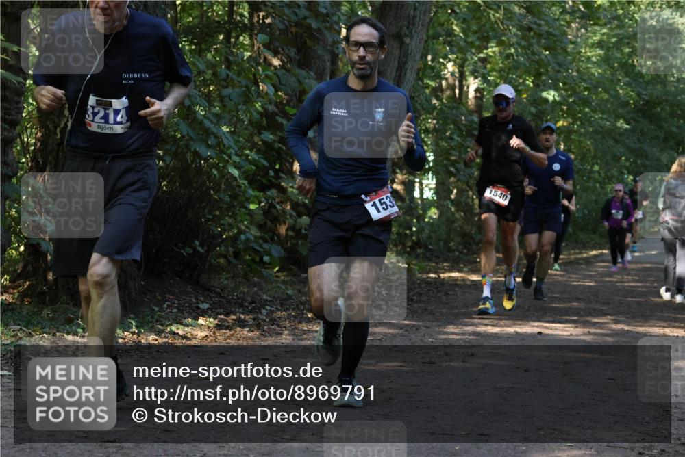 28.09.2025 - 33. Volkslauf durch das schöne Alstertal Strokosch-Dieckow http://msf.ph/oto/8969791 28.09.2025 11:35:42 Laufen 3214, 153, 1540 meine-sportfotos.de