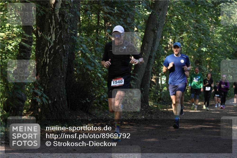 28.09.2025 - 33. Volkslauf durch das schöne Alstertal Strokosch-Dieckow http://msf.ph/oto/8969792 28.09.2025 11:35:44 Laufen 1540 meine-sportfotos.de