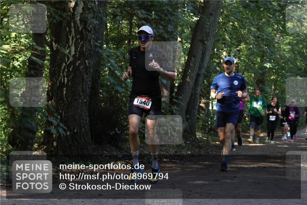 28.09.2025 - 33. Volkslauf durch das schöne Alstertal Strokosch-Dieckow http://msf.ph/oto/8969794 28.09.2025 11:35:44 Laufen 1540, 3120 meine-sportfotos.de