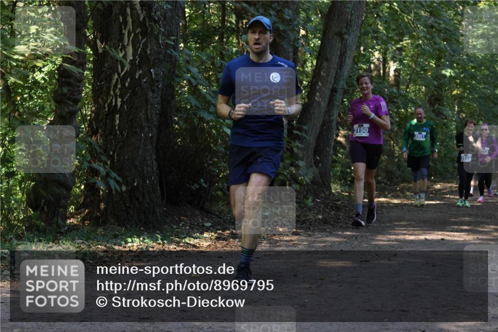 28.09.2025 - 33. Volkslauf durch das schöne Alstertal Strokosch-Dieckow http://msf.ph/oto/8969795 28.09.2025 11:35:46 Laufen 3150, 3951, 3120 meine-sportfotos.de
