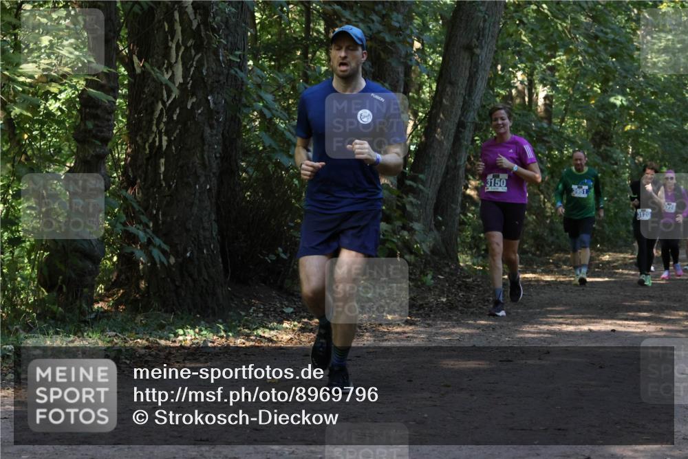 28.09.2025 - 33. Volkslauf durch das schöne Alstertal Strokosch-Dieckow http://msf.ph/oto/8969796 28.09.2025 11:35:46 Laufen 3150, 3951, 3221, 3120 meine-sportfotos.de