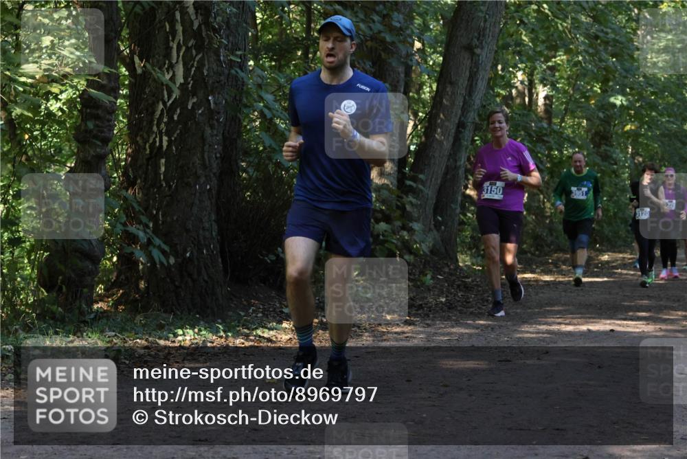 28.09.2025 - 33. Volkslauf durch das schöne Alstertal Strokosch-Dieckow http://msf.ph/oto/8969797 28.09.2025 11:35:46 Laufen 3150, 3951, 3120 meine-sportfotos.de