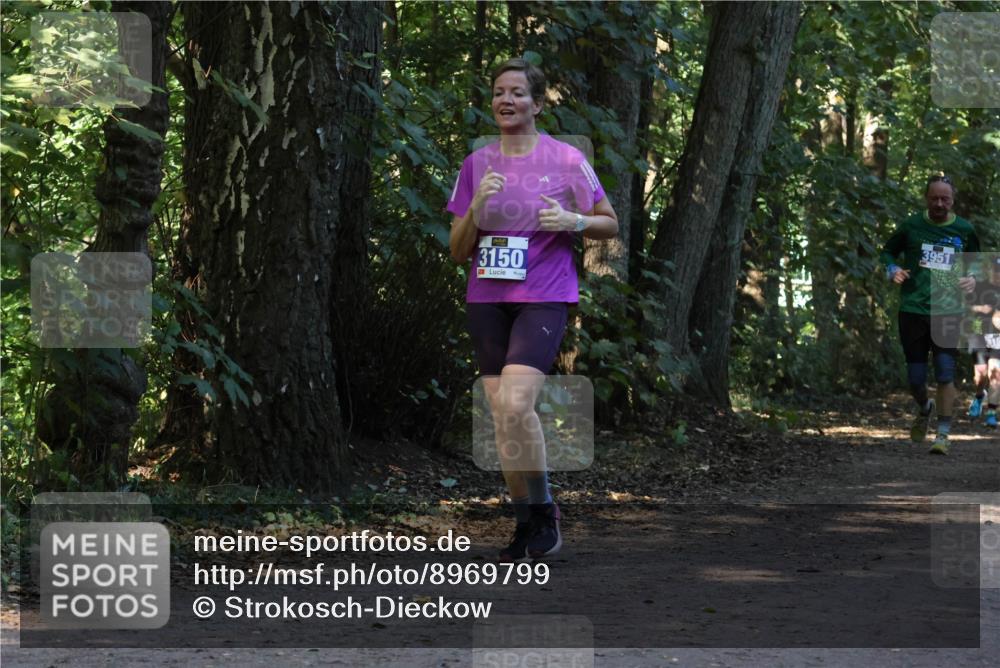 28.09.2025 - 33. Volkslauf durch das schöne Alstertal Strokosch-Dieckow http://msf.ph/oto/8969799 28.09.2025 11:35:48 Laufen 3150, 3951 meine-sportfotos.de