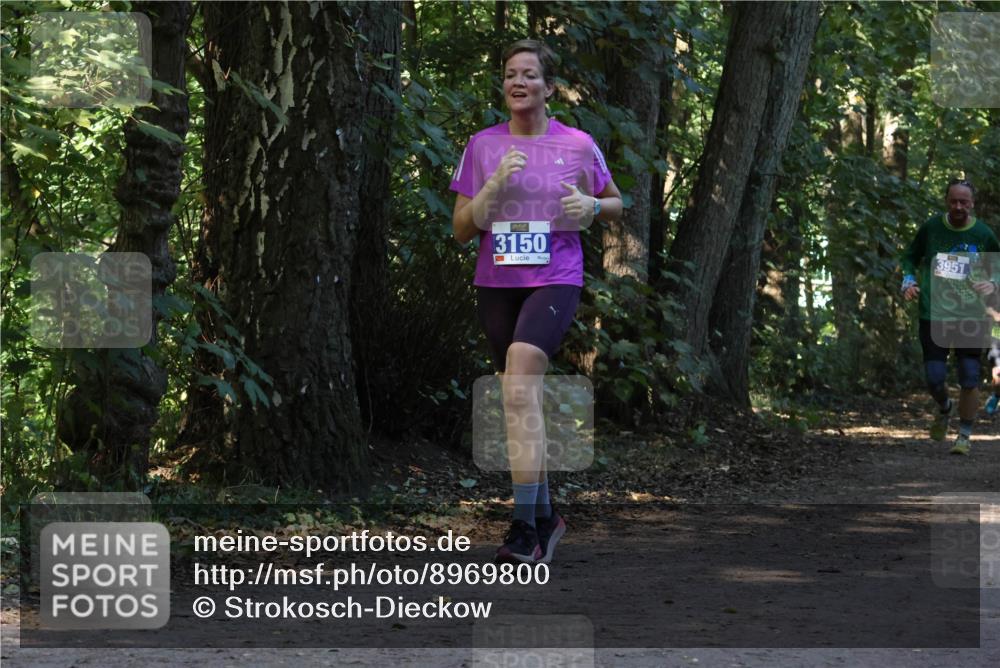 28.09.2025 - 33. Volkslauf durch das schöne Alstertal Strokosch-Dieckow http://msf.ph/oto/8969800 28.09.2025 11:35:48 Laufen 3150, 3951 meine-sportfotos.de