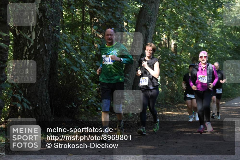 28.09.2025 - 33. Volkslauf durch das schöne Alstertal Strokosch-Dieckow http://msf.ph/oto/8969801 28.09.2025 11:35:52 Laufen 3951, 3120, 5332, 3228 meine-sportfotos.de