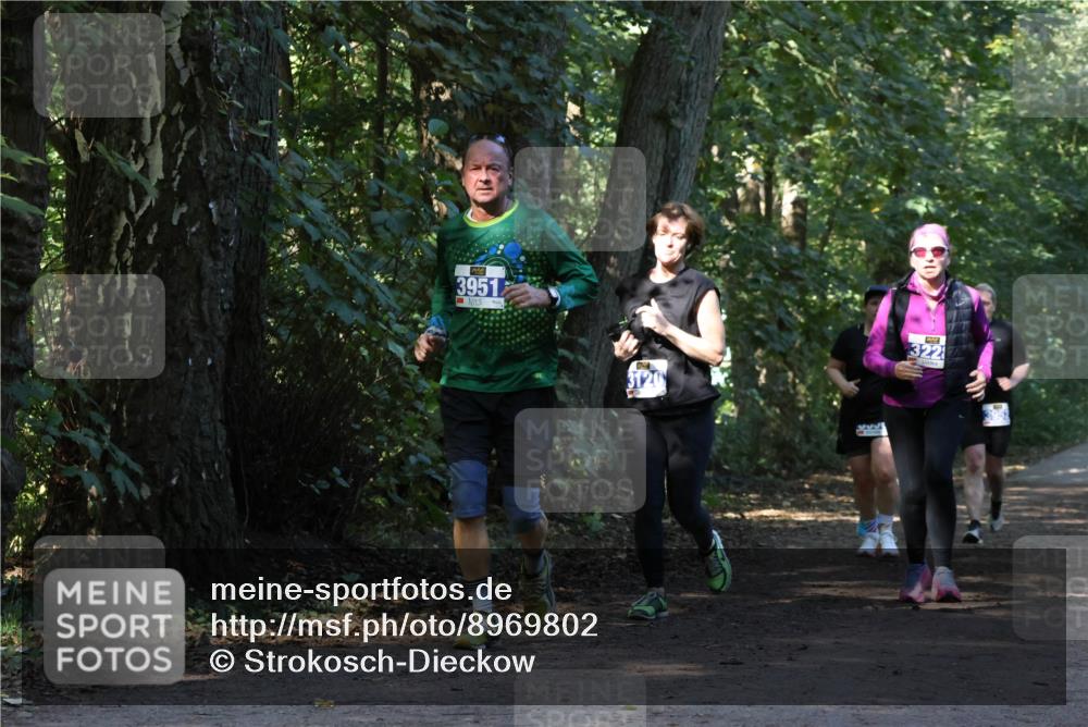 28.09.2025 - 33. Volkslauf durch das schöne Alstertal Strokosch-Dieckow http://msf.ph/oto/8969802 28.09.2025 11:35:52 Laufen 3951, 3120, 322 meine-sportfotos.de