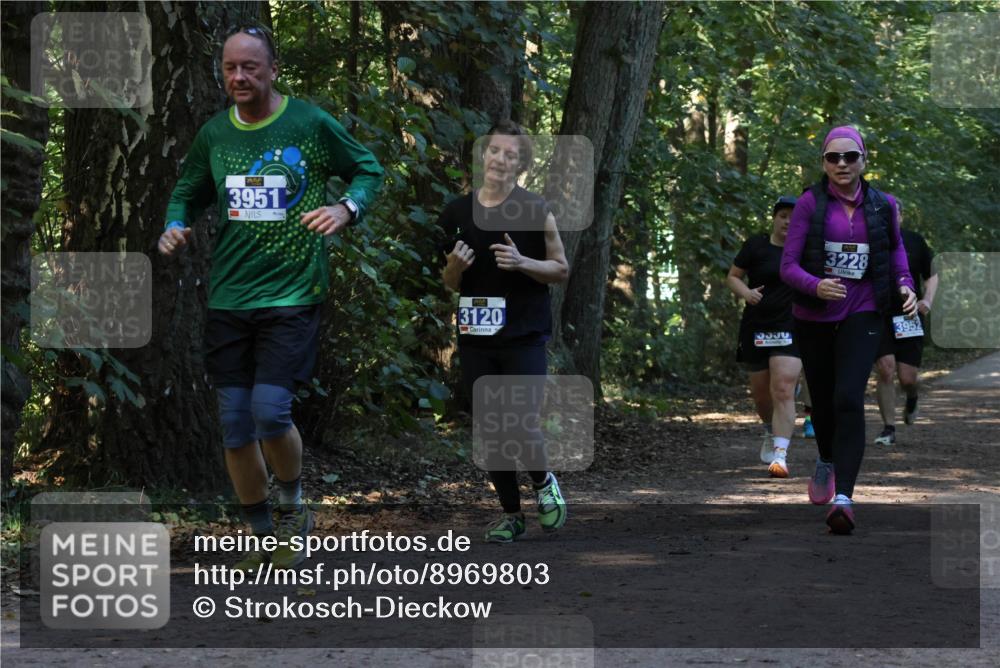 28.09.2025 - 33. Volkslauf durch das schöne Alstertal Strokosch-Dieckow http://msf.ph/oto/8969803 28.09.2025 11:35:53 Laufen 3951, 3228, 3120, 3, 3952 meine-sportfotos.de