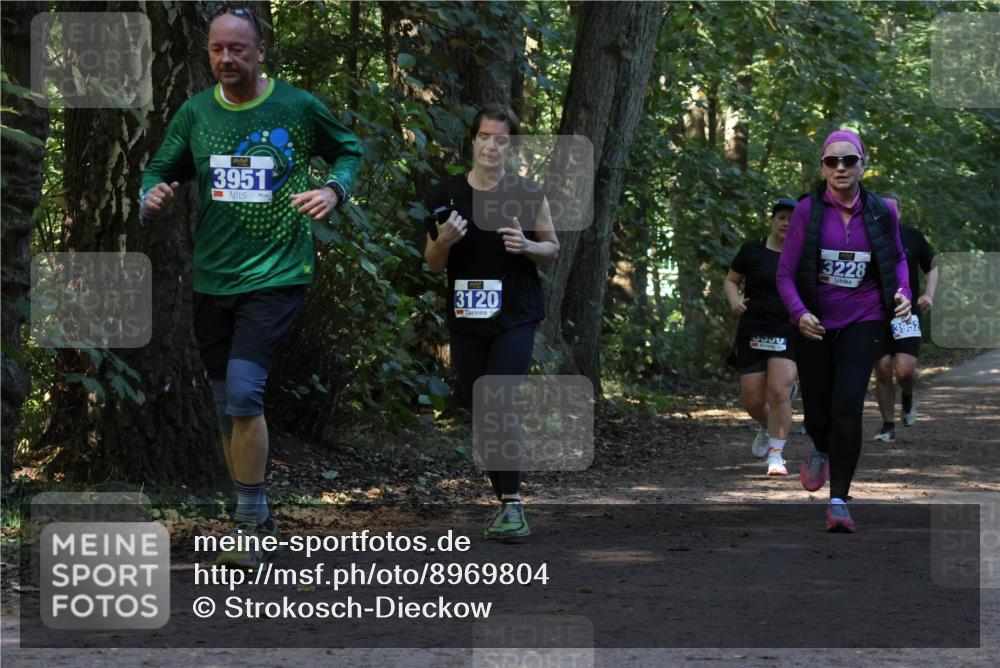 28.09.2025 - 33. Volkslauf durch das schöne Alstertal Strokosch-Dieckow http://msf.ph/oto/8969804 28.09.2025 11:35:53 Laufen 3951, 3120, 3228, 3952 meine-sportfotos.de