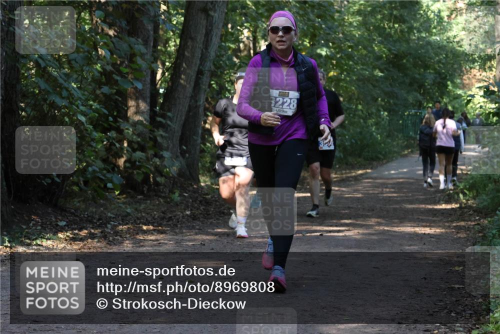 28.09.2025 - 33. Volkslauf durch das schöne Alstertal Strokosch-Dieckow http://msf.ph/oto/8969808 28.09.2025 11:35:55 Laufen 3228 meine-sportfotos.de