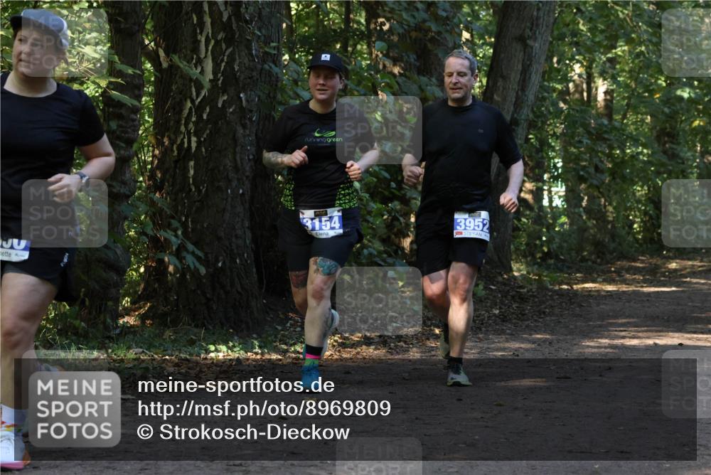 28.09.2025 - 33. Volkslauf durch das schöne Alstertal Strokosch-Dieckow http://msf.ph/oto/8969809 28.09.2025 11:35:58 Laufen 3154, 3952 meine-sportfotos.de