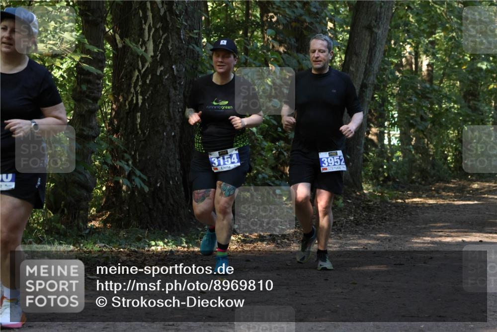 28.09.2025 - 33. Volkslauf durch das schöne Alstertal Strokosch-Dieckow http://msf.ph/oto/8969810 28.09.2025 11:35:58 Laufen 1, 3154, 3952 meine-sportfotos.de