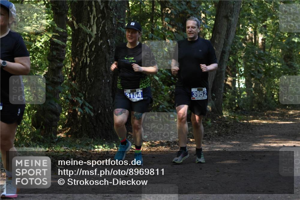28.09.2025 - 33. Volkslauf durch das schöne Alstertal Strokosch-Dieckow http://msf.ph/oto/8969811 28.09.2025 11:35:58 Laufen 3154, 3952 meine-sportfotos.de