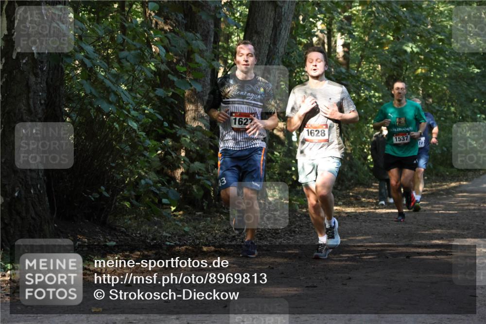 28.09.2025 - 33. Volkslauf durch das schöne Alstertal Strokosch-Dieckow http://msf.ph/oto/8969813 28.09.2025 11:36:23 Laufen 1627, 1628, 1537, 172 meine-sportfotos.de