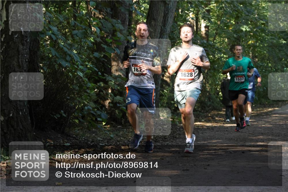 28.09.2025 - 33. Volkslauf durch das schöne Alstertal Strokosch-Dieckow http://msf.ph/oto/8969814 28.09.2025 11:36:23 Laufen 43, 162, 1628, 1537, 172 meine-sportfotos.de