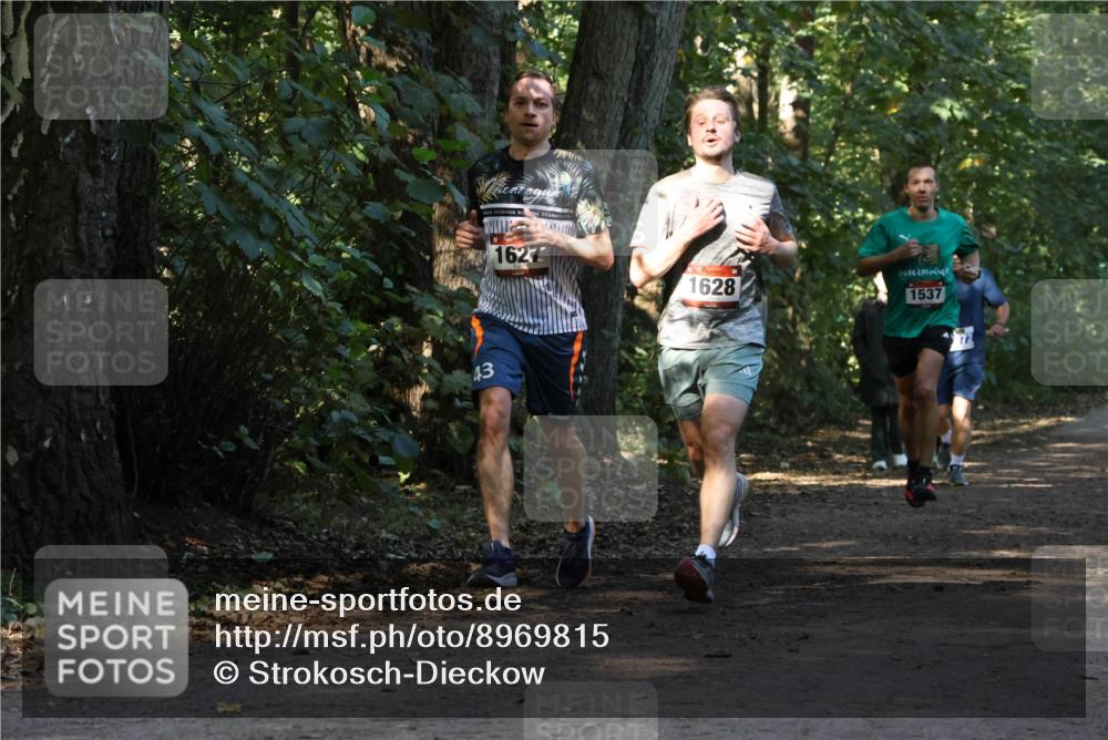 28.09.2025 - 33. Volkslauf durch das schöne Alstertal Strokosch-Dieckow http://msf.ph/oto/8969815 28.09.2025 11:36:23 Laufen 43, 1627, 1628, 1537 meine-sportfotos.de