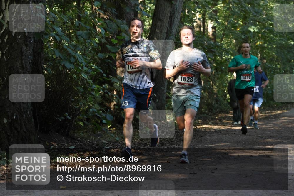 28.09.2025 - 33. Volkslauf durch das schöne Alstertal Strokosch-Dieckow http://msf.ph/oto/8969816 28.09.2025 11:36:23 Laufen 43, 16, 1628, 1537 meine-sportfotos.de