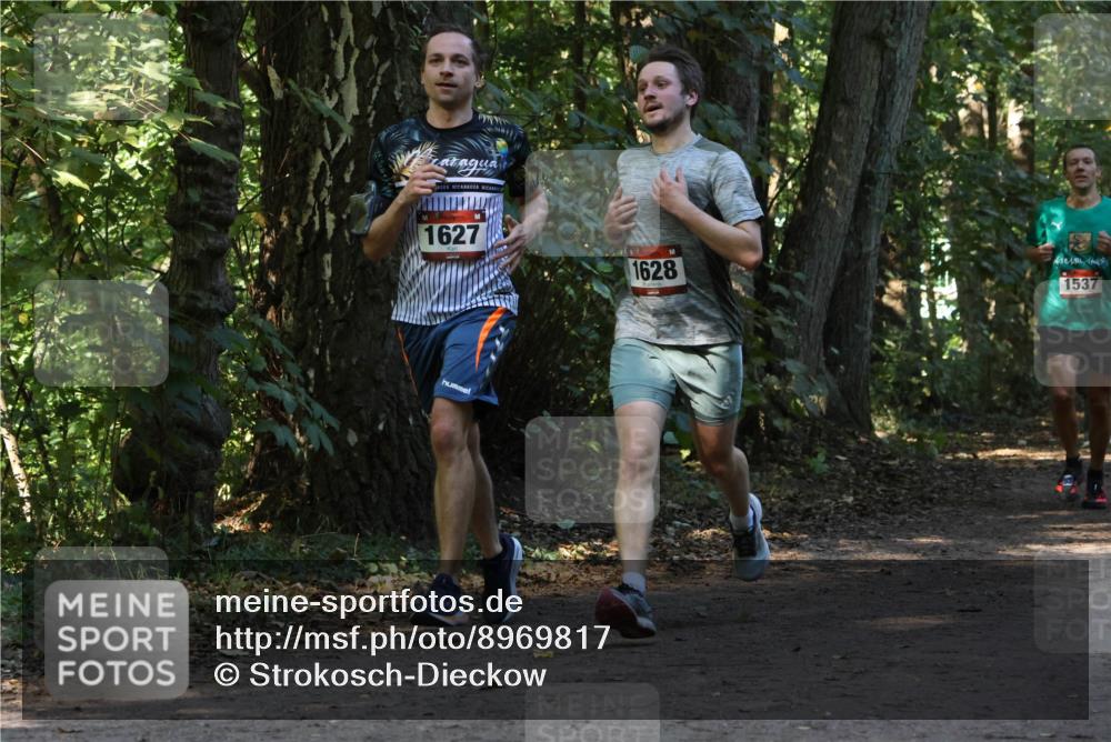 28.09.2025 - 33. Volkslauf durch das schöne Alstertal Strokosch-Dieckow http://msf.ph/oto/8969817 28.09.2025 11:36:24 Laufen 1627, 1628, 1537 meine-sportfotos.de