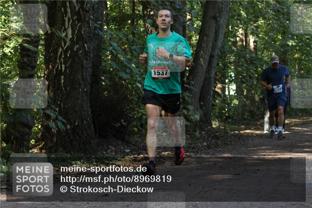 28.09.2025 - 33. Volkslauf durch das schöne Alstertal Strokosch-Dieckow http://msf.ph/oto/8969819 28.09.2025 11:36:27 Laufen 1537, 3072 meine-sportfotos.de