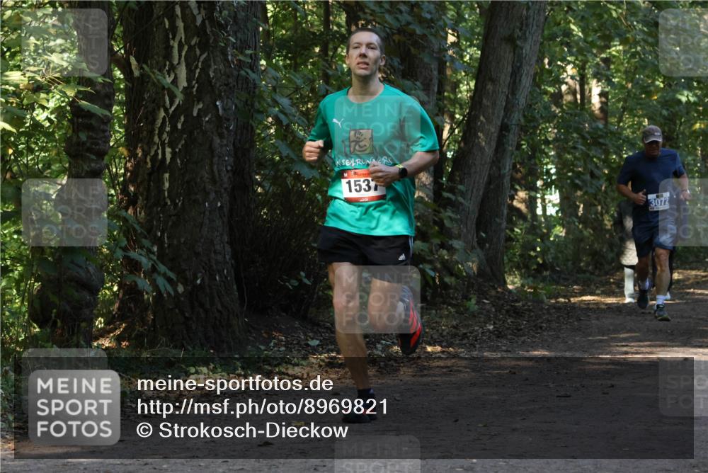 28.09.2025 - 33. Volkslauf durch das schöne Alstertal Strokosch-Dieckow http://msf.ph/oto/8969821 28.09.2025 11:36:27 Laufen 1537, 3072 meine-sportfotos.de