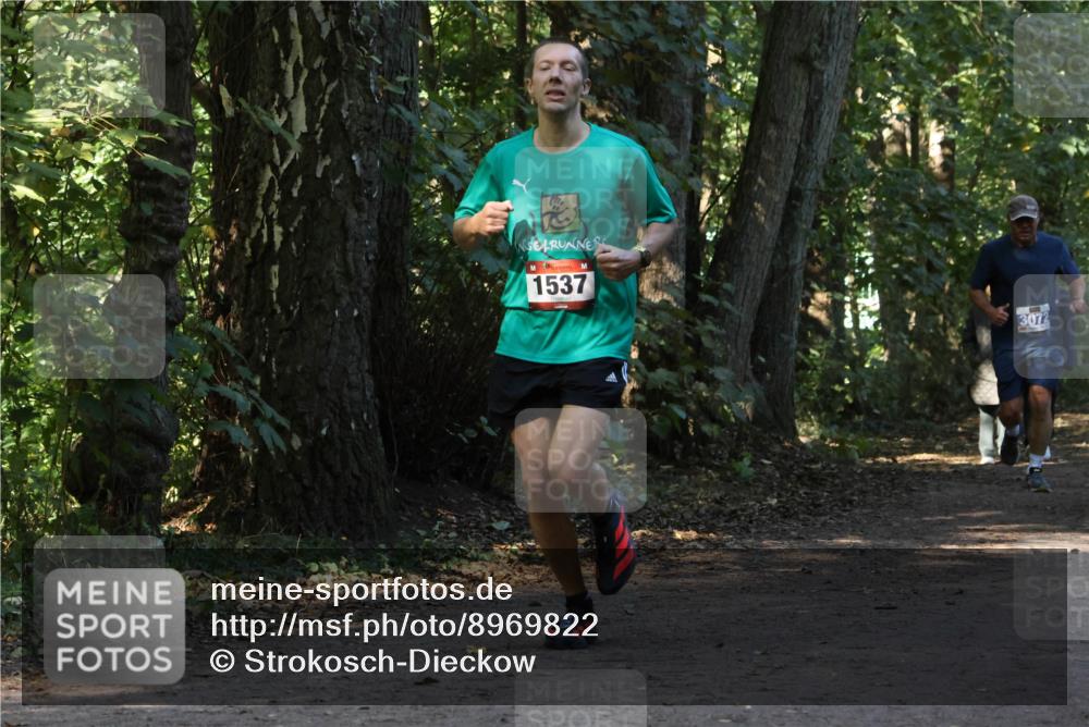 28.09.2025 - 33. Volkslauf durch das schöne Alstertal Strokosch-Dieckow http://msf.ph/oto/8969822 28.09.2025 11:36:27 Laufen 1537, 3072 meine-sportfotos.de