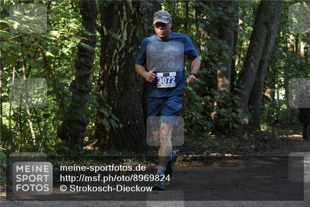 28.09.2025 - 33. Volkslauf durch das schöne Alstertal Strokosch-Dieckow http://msf.ph/oto/8969824 28.09.2025 11:36:32 Laufen 3072 meine-sportfotos.de