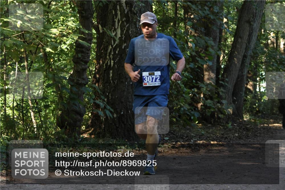 28.09.2025 - 33. Volkslauf durch das schöne Alstertal Strokosch-Dieckow http://msf.ph/oto/8969825 28.09.2025 11:36:32 Laufen 3072 meine-sportfotos.de