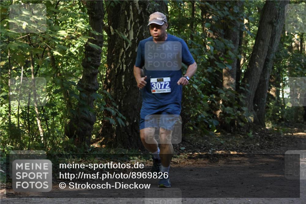 28.09.2025 - 33. Volkslauf durch das schöne Alstertal Strokosch-Dieckow http://msf.ph/oto/8969826 28.09.2025 11:36:32 Laufen 3072 meine-sportfotos.de