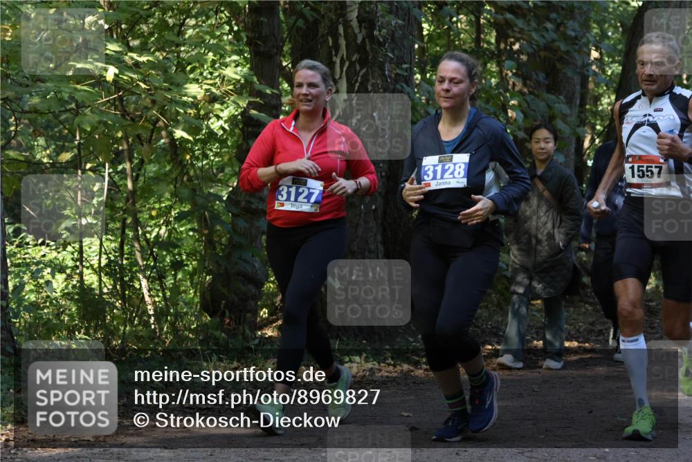 28.09.2025 - 33. Volkslauf durch das schöne Alstertal Strokosch-Dieckow http://msf.ph/oto/8969827 28.09.2025 11:36:43 Laufen 3127, 3128, 1557 meine-sportfotos.de
