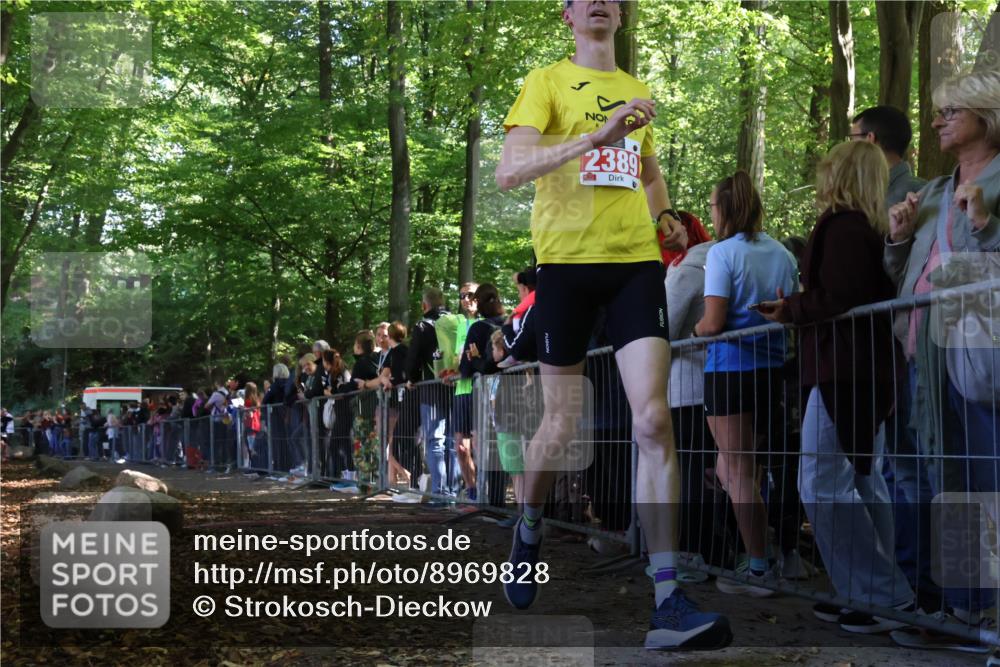28.09.2025 - 33. Volkslauf durch das schöne Alstertal Strokosch-Dieckow http://msf.ph/oto/8969828 28.09.2025 11:50:35 Ziel 1570, 2389, 2995 meine-sportfotos.de