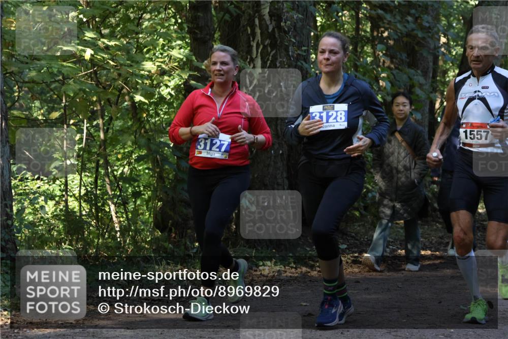 28.09.2025 - 33. Volkslauf durch das schöne Alstertal Strokosch-Dieckow http://msf.ph/oto/8969829 28.09.2025 11:36:43 Laufen 3127, 3128, 1557 meine-sportfotos.de