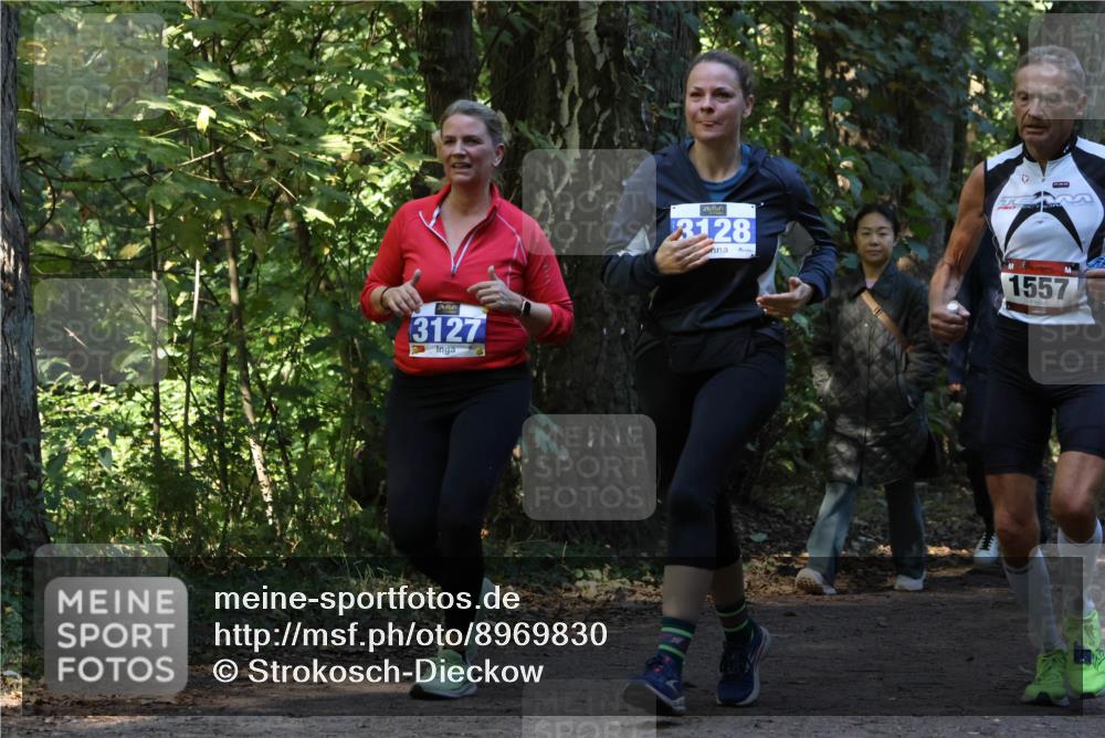 28.09.2025 - 33. Volkslauf durch das schöne Alstertal Strokosch-Dieckow http://msf.ph/oto/8969830 28.09.2025 11:36:43 Laufen 3127, 3128, 1557 meine-sportfotos.de