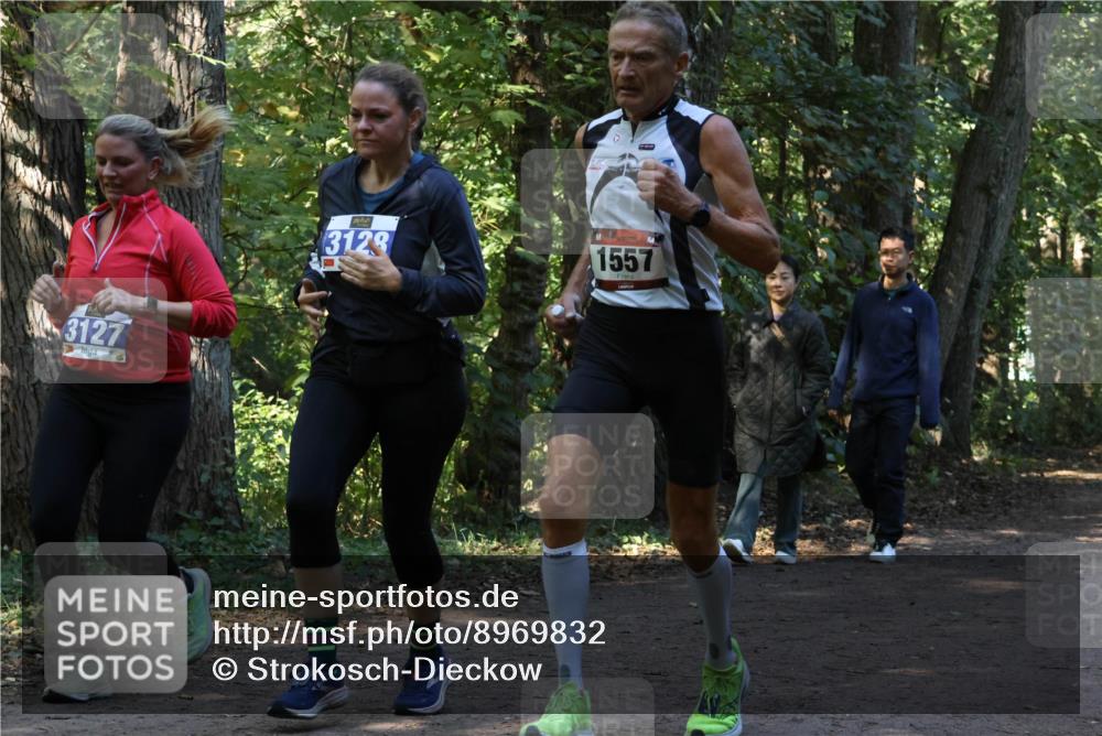 28.09.2025 - 33. Volkslauf durch das schöne Alstertal Strokosch-Dieckow http://msf.ph/oto/8969832 28.09.2025 11:36:44 Laufen 3127, 3129, 1557 meine-sportfotos.de