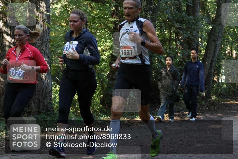 28.09.2025 - 33. Volkslauf durch das schöne Alstertal Strokosch-Dieckow http://msf.ph/oto/8969833 28.09.2025 11:36:44 Laufen 3127, 3128, 1557 meine-sportfotos.de