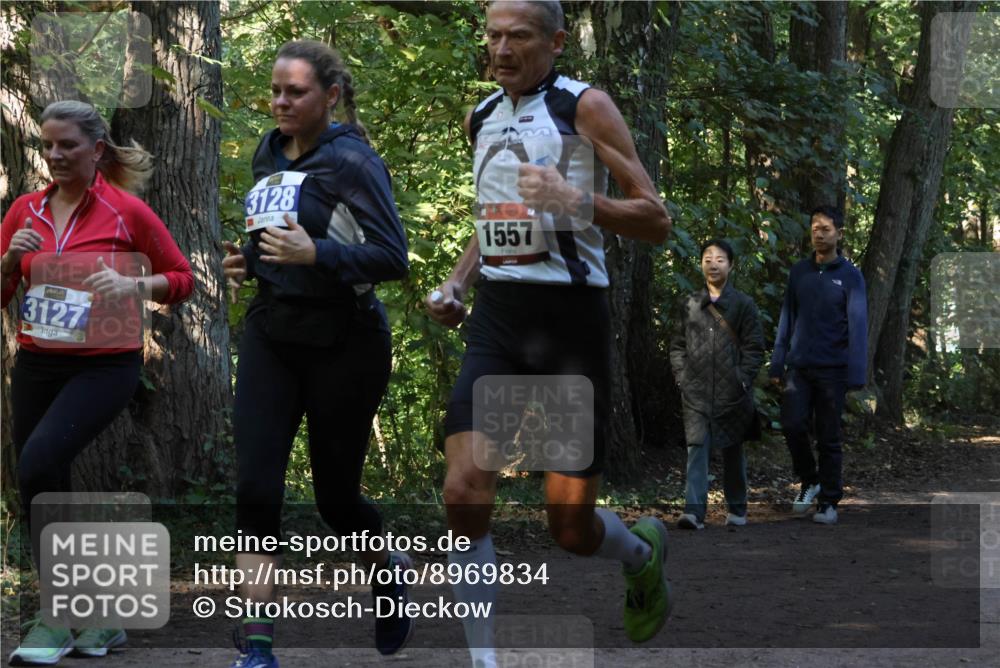28.09.2025 - 33. Volkslauf durch das schöne Alstertal Strokosch-Dieckow http://msf.ph/oto/8969834 28.09.2025 11:36:44 Laufen 3127, 3128, 1557 meine-sportfotos.de